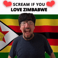 SCREAM IF YOU LOVE ZIMBABWE