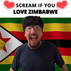 SCREAM IF YOU LOVE ZIMBABWE