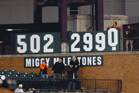 Football Reaction GIF by Detroit Tigers - Find & Share on GIPHY
