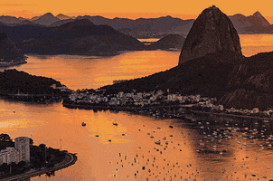 Sofisticato Odontologia GIF