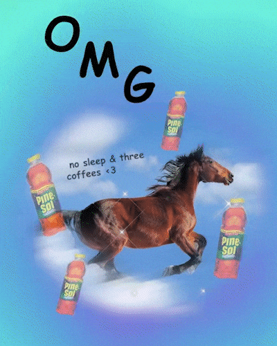 Pine-Sol GIF