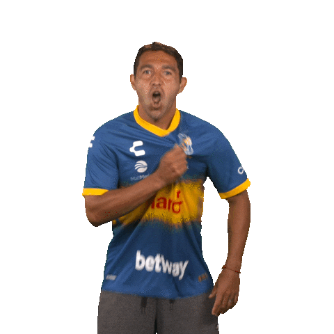 evertonvina Sticker