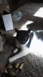 mode