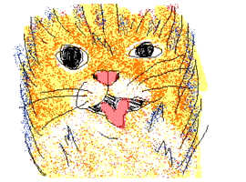 Cat Reaction GIF