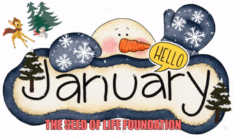 Food Give GIF by The Seed of Life Foundation