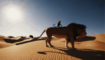 Mortgage Lenders In Miami GIF