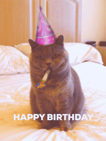 Animated GIF