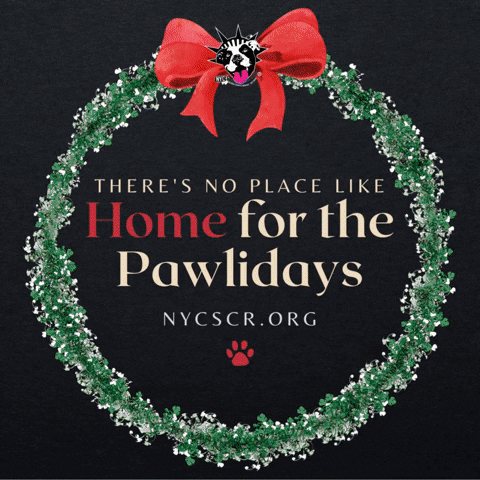 Home For The Holidays Happy Pawlidays GIF by NYC Second Chance Rescue