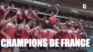 fc grenoble bouclier GIF by FCG Rugby