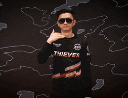 Stop It No Way GIF by 100 Thieves