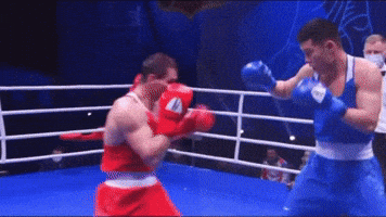 Knockout GIF by Bekzatsport