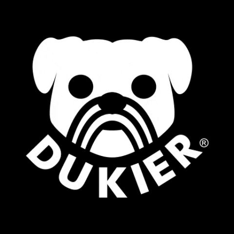 Dogs GIF by Dukier