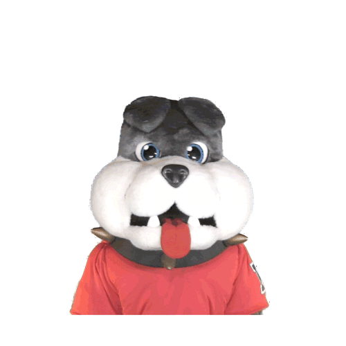 Excited College Sports Sticker by College Colors Day