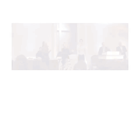GIF by timothyco
