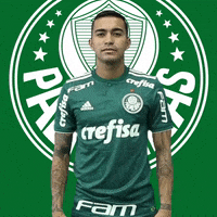 x finish him GIF by SE Palmeiras
