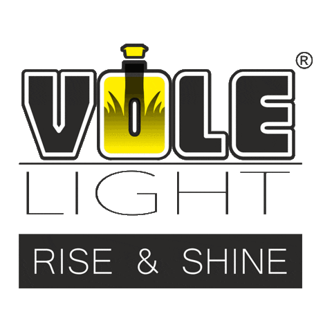 Vole Light Sticker