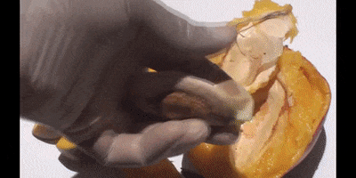 Education Satisfying GIF by DIIMSA Stock