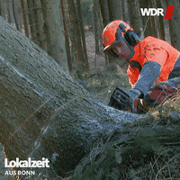 danger chainsaw GIF by WDR
