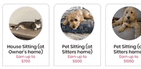 Petcloud GIF