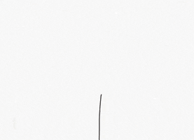 Love GIF