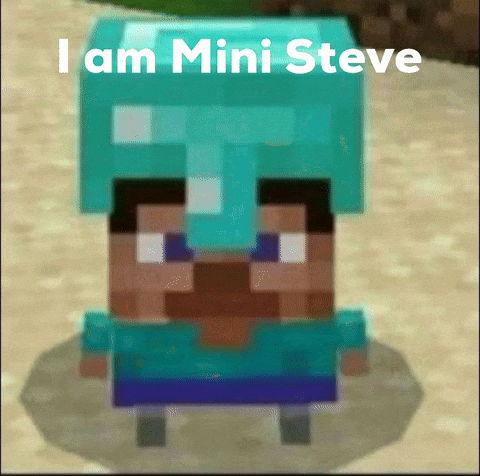 Steve GIF
