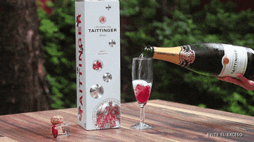 claudia123 wine champagne mixology mimosa GIF
