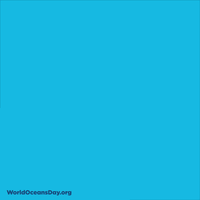 Sea Action Gif By World Ocean Day Find Share On Giphy Sea Action Gif By World Ocean Day Find Share On Giphy