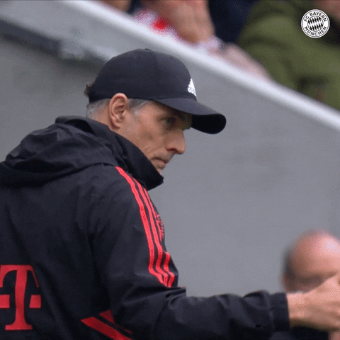 Football Soccer GIF by FC Bayern Munich