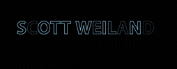 Stone Temple Pilots GIF by Primary Wave