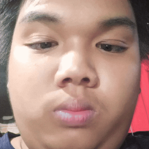 Puchisa GIF