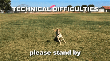 Fail Technical Difficulties GIF by Alpha