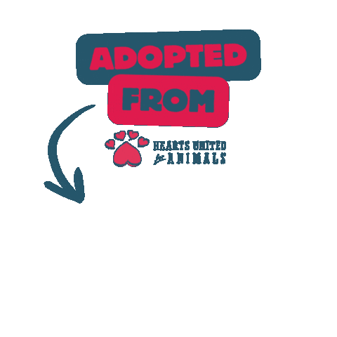 Hearts United for Animals Sticker