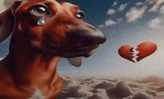 Sad Heart GIF