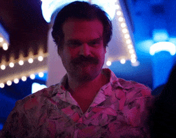 TV gif. David Harbour as Jim Hopper on Stranger Things looks down, shaking his head and shrugging his shoulders. He says, “Nope.”