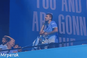 Real Madrid Champion GIF