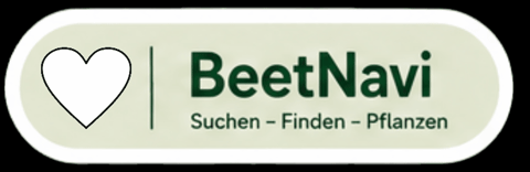 Beetnavi.com GIF