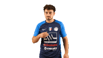 Goal Schiavo Sticker by GS Hockey Trissino