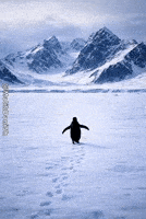 The Mountains Are Calling Human Spirit GIF