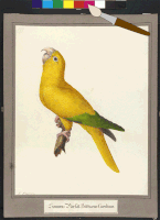 200.gif?cid=fc005b086c91378993c100e0d0addc150767ce7444a7dcce&rid=200.gif&ct=g