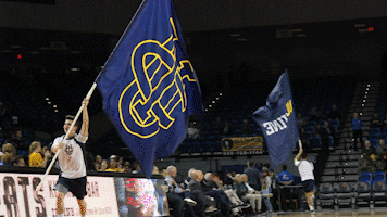 anteaters ucirvine GIF by UCI Athletics