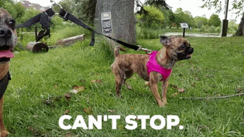can't stop won't stop GIF by A Magical Mess