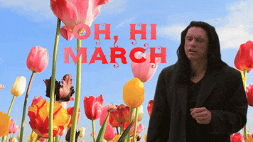 The Room Spring GIF by Tommy Wiseau