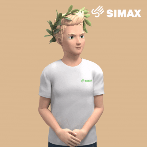 sign language avatar GIF by signtime