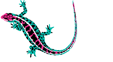 Pink Illustration Sticker