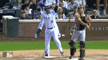 call parra GIF by MLB