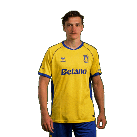 Goalcelebration Sejr Sticker by Brøndby IF