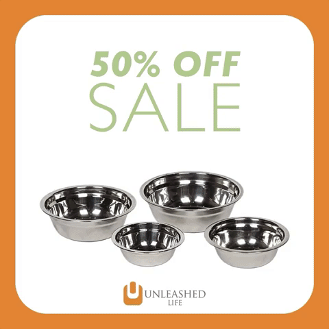 Dog GIF by Unleashed Life