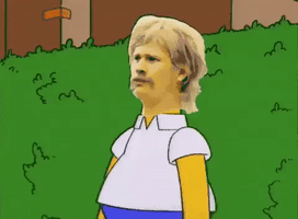 Homer Wtf GIF