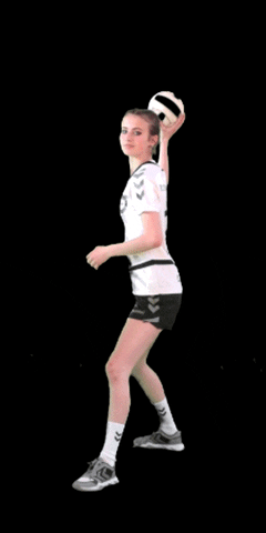 nhvracov GIF