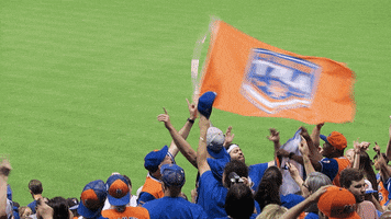 Lets Go Mets GIF by The 7 Line
